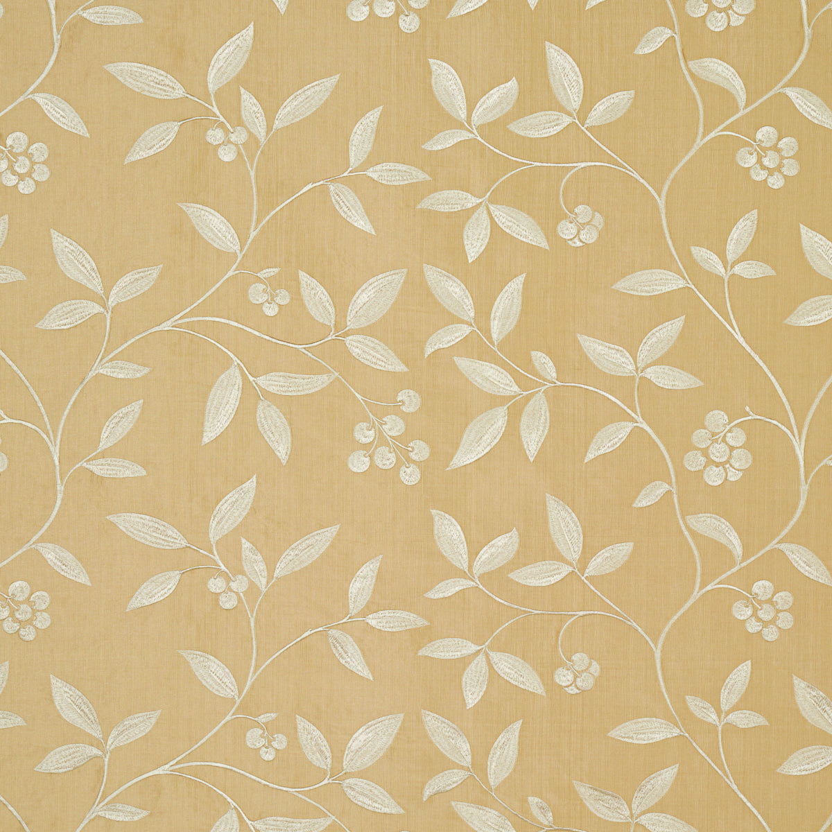 Purchase 64331 Adelaide Embroidery Blonde by Schumacher Fabric