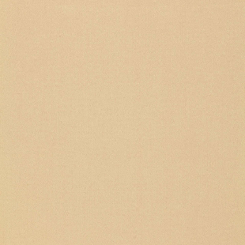 Order 64378 Isolde Cotton Weave String by Schumacher Fabric