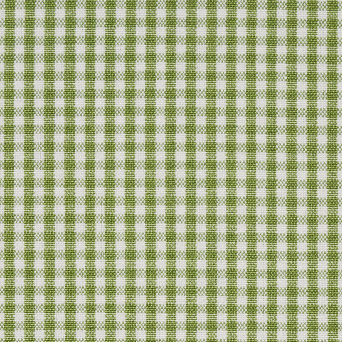 Purchase 64638 Barnet Cotton Check, Leaf by Schumacher Fabric