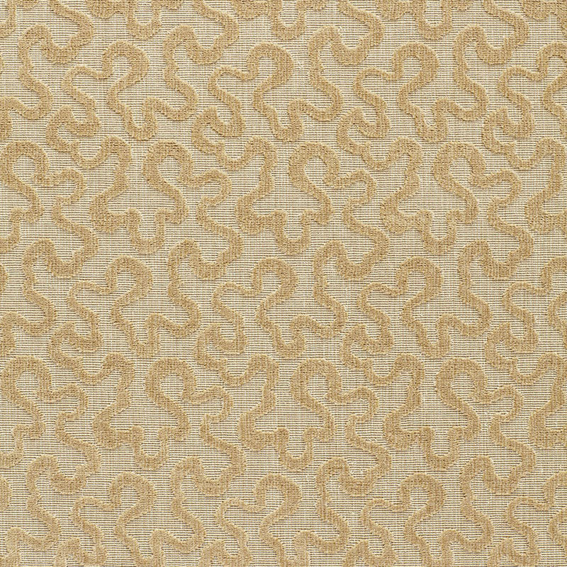 Purchase 64764 Vermicelli Velvet Camel by Schumacher Fabric