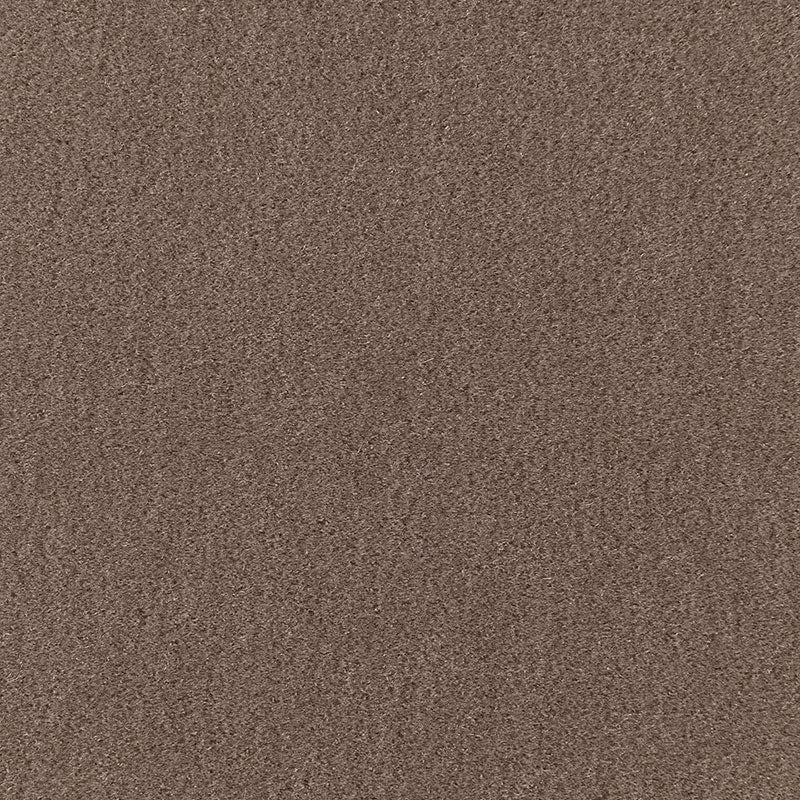 Buy 64868 San Carlo Mohair Velvet Driftwood by Schumacher Fabric
