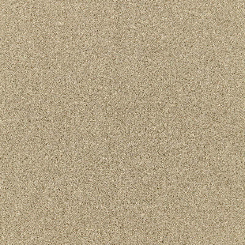 Acquire 64871 San Carlo Mohair Velvet Pebble by Schumacher Fabric