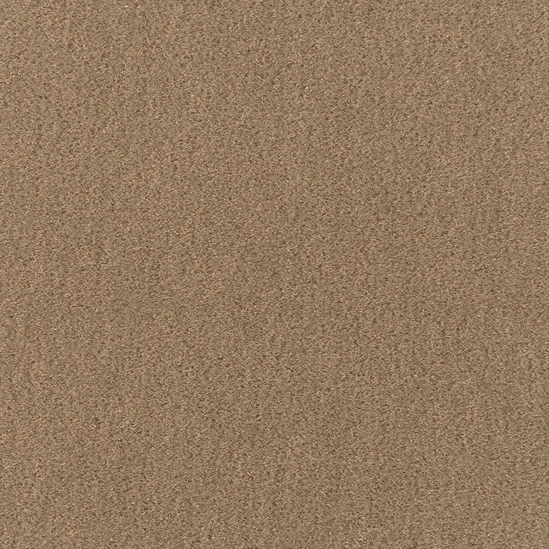 Search 64885 San Carlo Mohair Velvet Sparrow by Schumacher Fabric