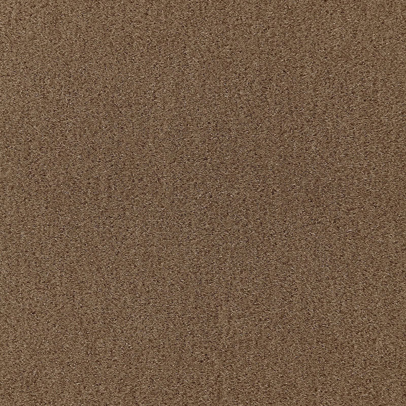 Acquire 64888 San Carlo Mohair Velvet Tobacco by Schumacher Fabric