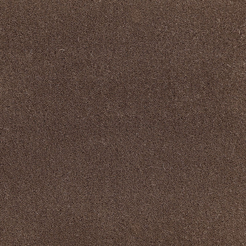 Buy 64889 San Carlo Mohair Velvet Mink by Schumacher Fabric