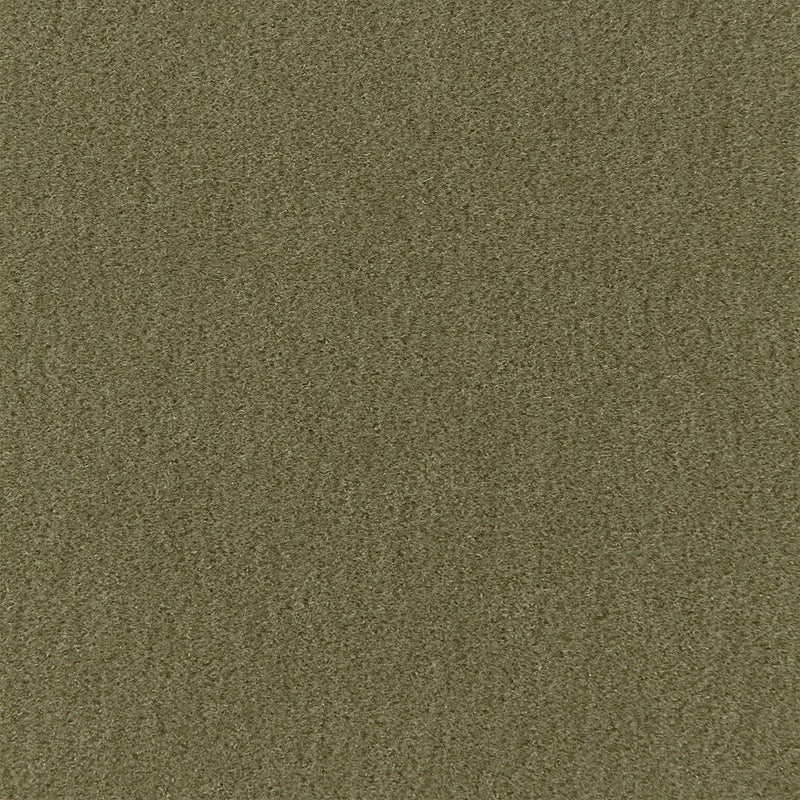 Purchase 64894 San Carlo Mohair Velvet Moss by Schumacher Fabric