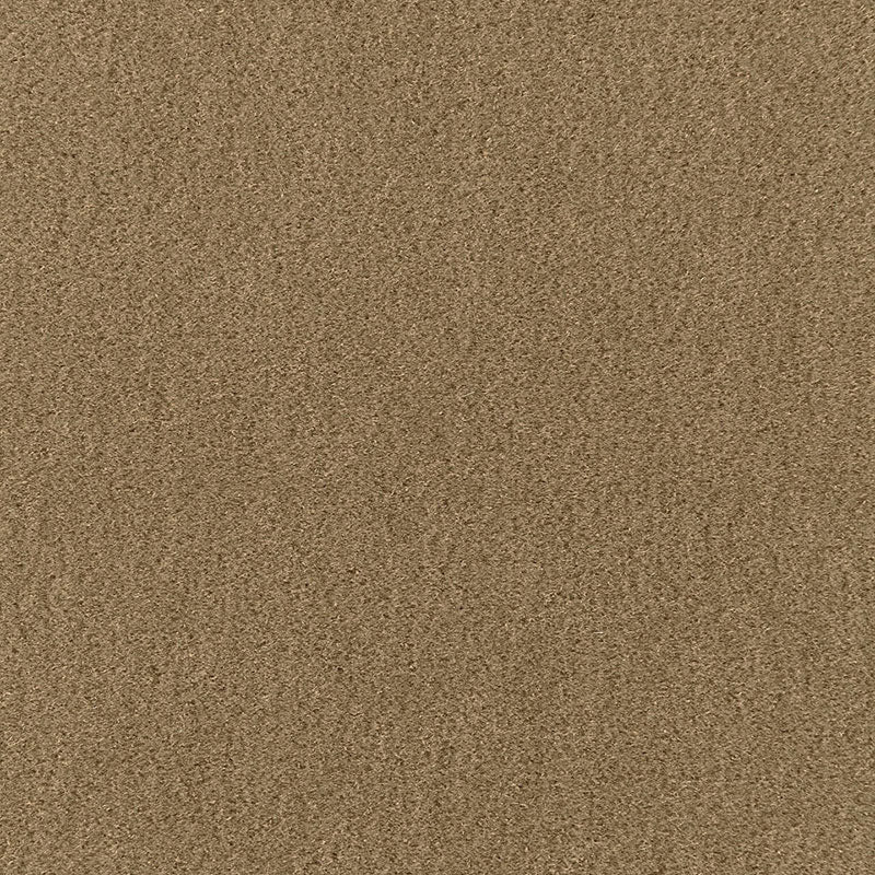 View 64895 San Carlo Mohair Velvet Herb by Schumacher Fabric