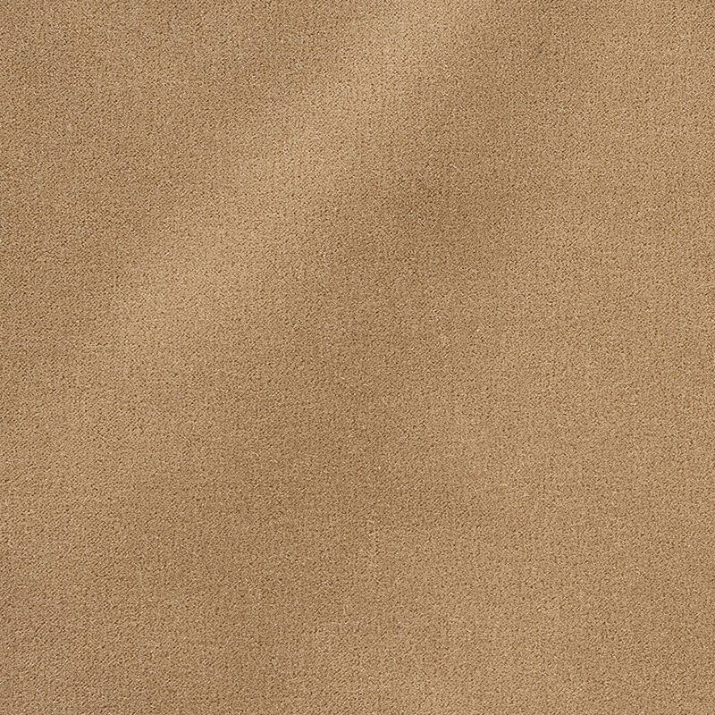 Find 64898 San Carlo Mohair Velvet Doe by Schumacher Fabric