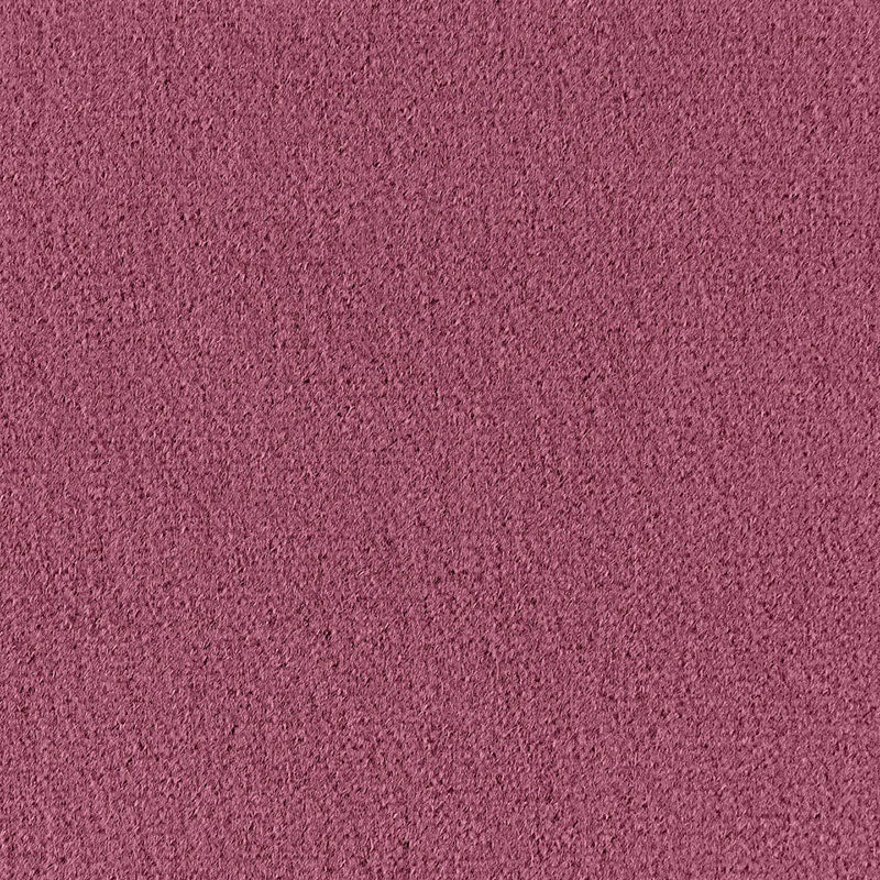Shop 64902 Palermo Mohair Velvet Mulberry by Schumacher Fabric