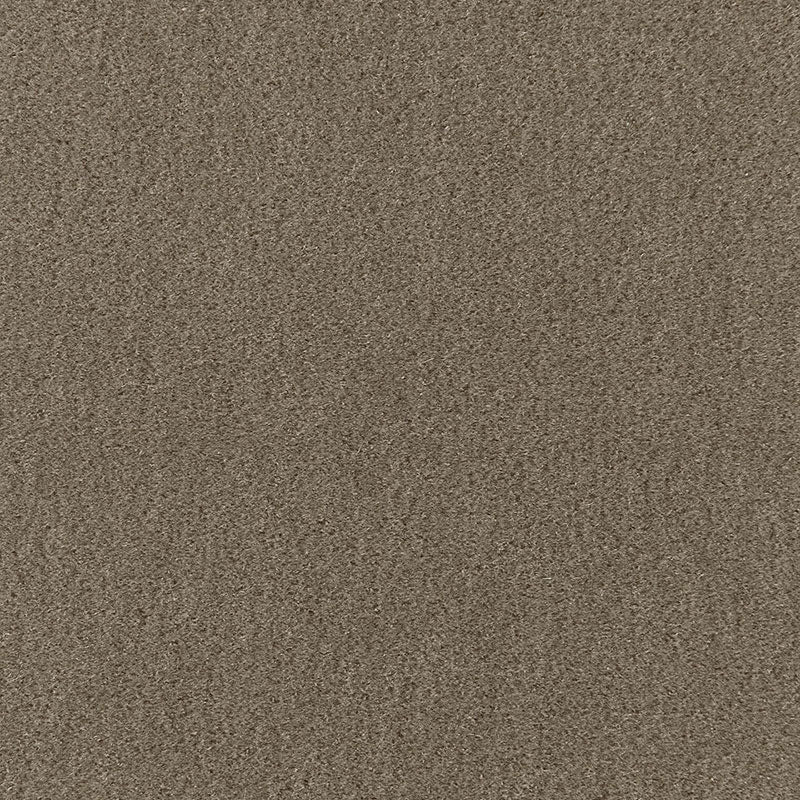 Select 64930 Palermo Mohair Velvet Thyme by Schumacher Fabric