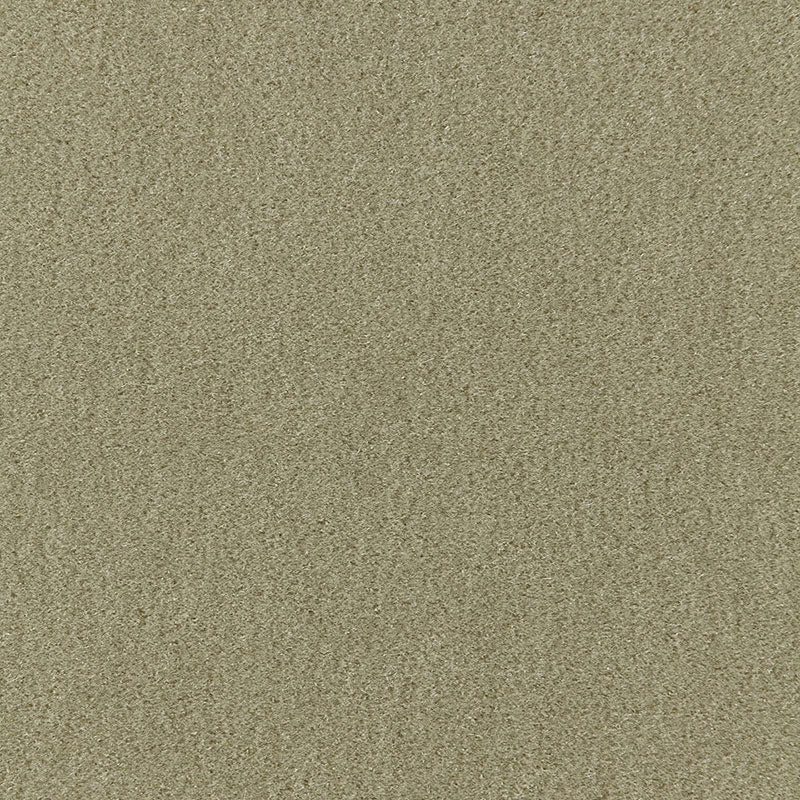 Save 64931 Palermo Mohair Velvet Lichen by Schumacher Fabric