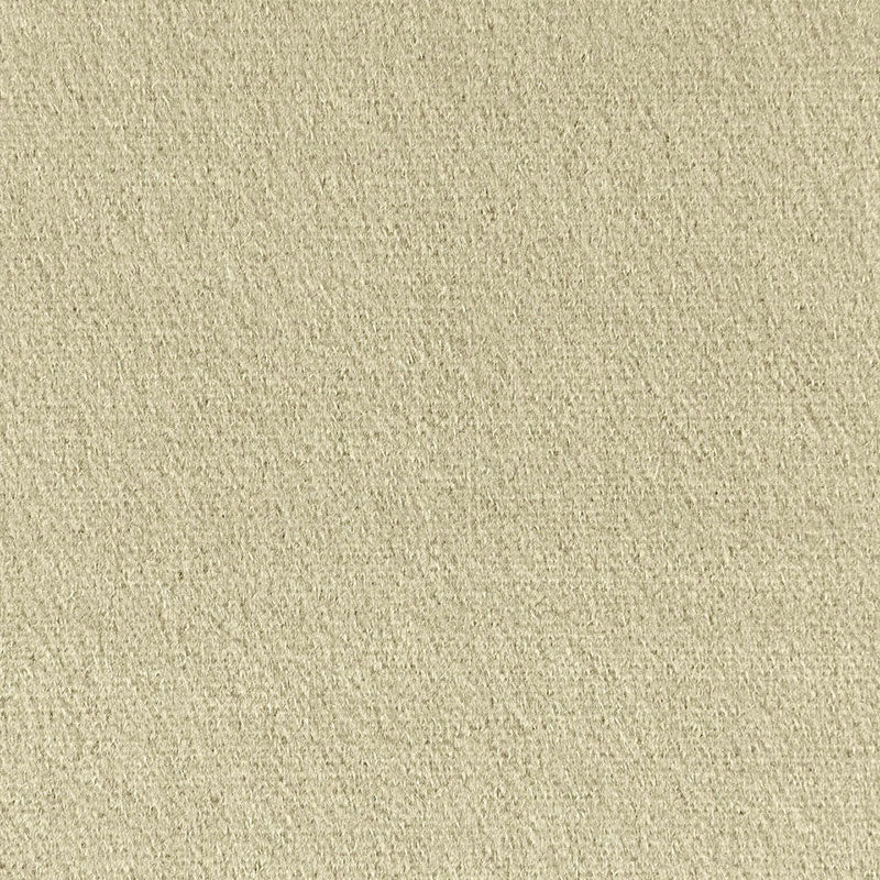 Purchase 64932 Palermo Mohair Velvet Eau De Nil by Schumacher Fabric