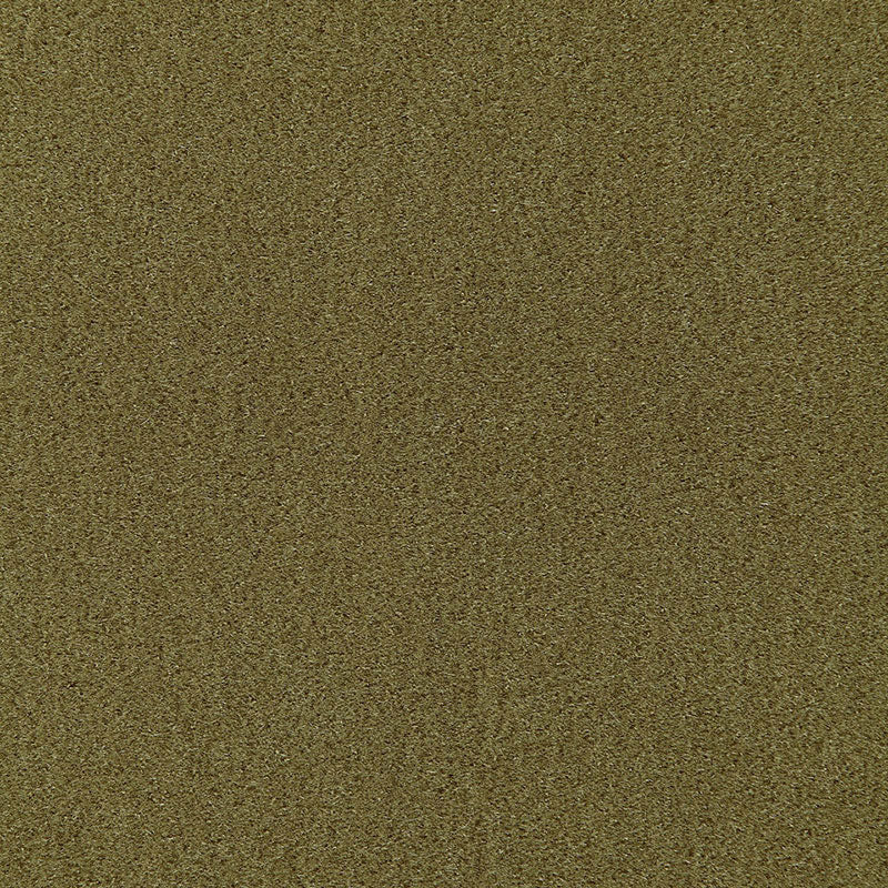 Find 64938 Palermo Mohair Velvet Olive by Schumacher Fabric