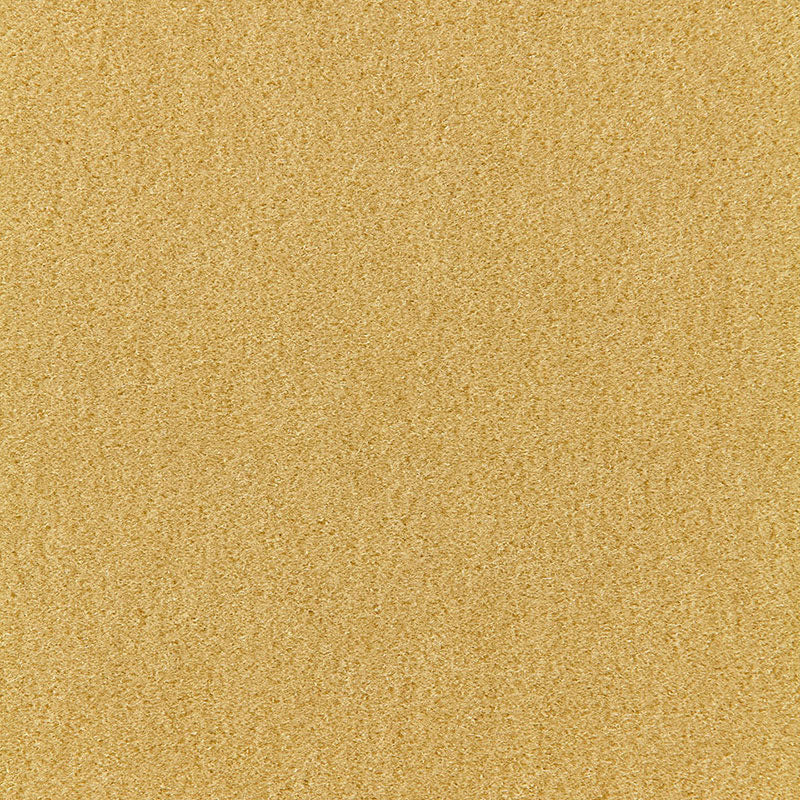 Search 64939 Palermo Mohair Velvet Absinthe by Schumacher Fabric