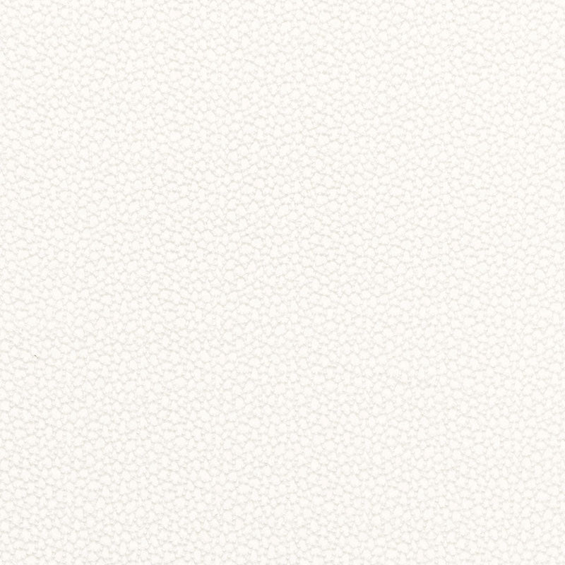 View 67660 Rossini Sheer Ivory by Schumacher Fabric