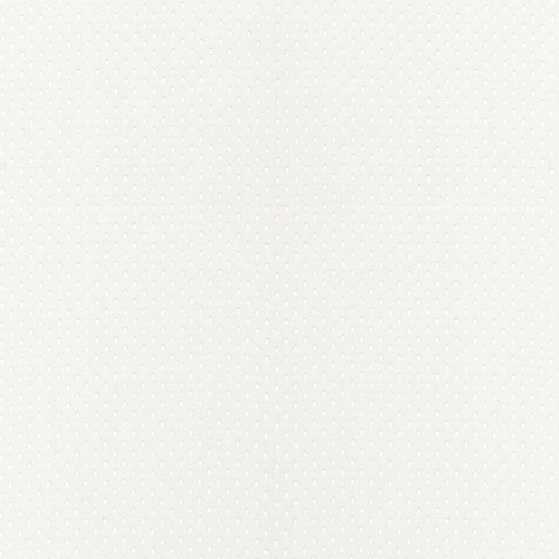Purchase 67670 Donatello Sheer Ivory by Schumacher Fabric