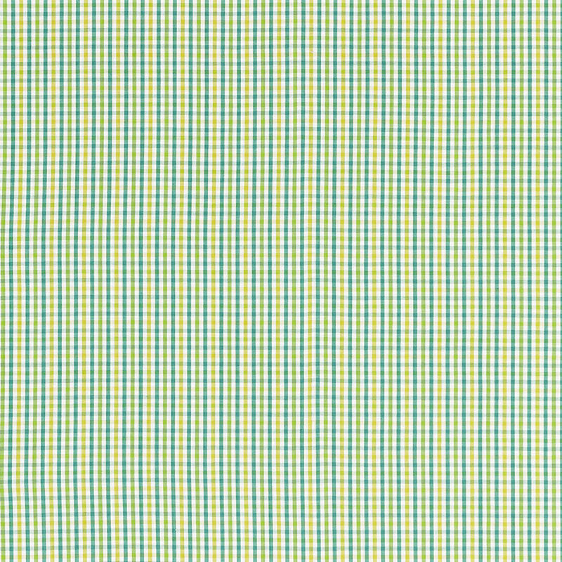 Buy 68050 Bahama Check Lagoon by Schumacher Fabric