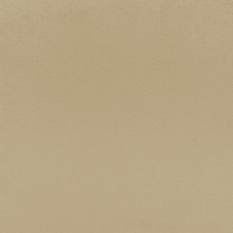 Purchase 68135 Sophia Velvet Driftwood by Schumacher Fabric