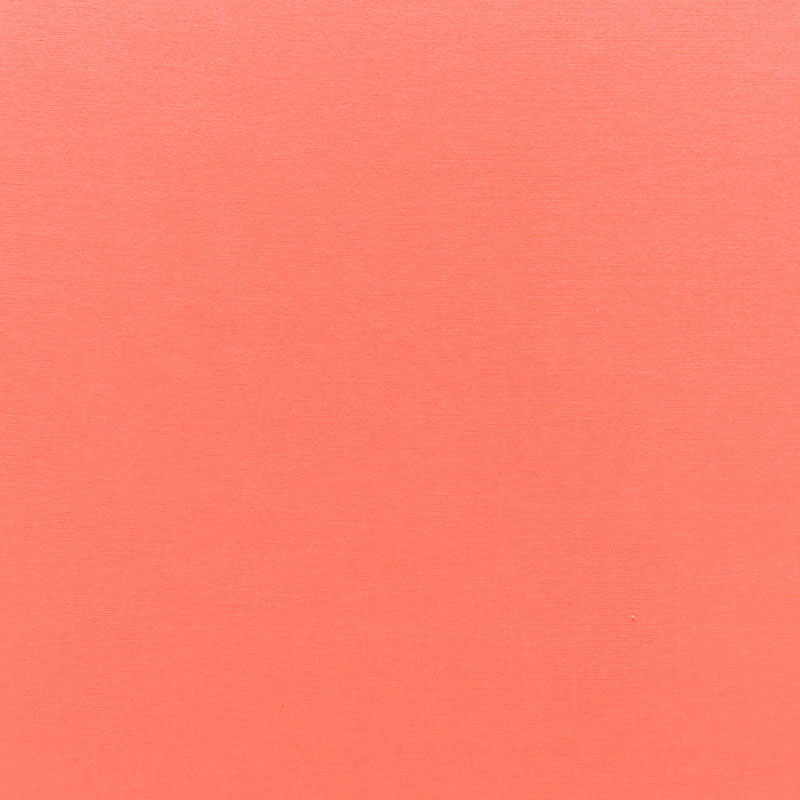 Purchase 68143 Sophia Velvet Coral by Schumacher Fabric