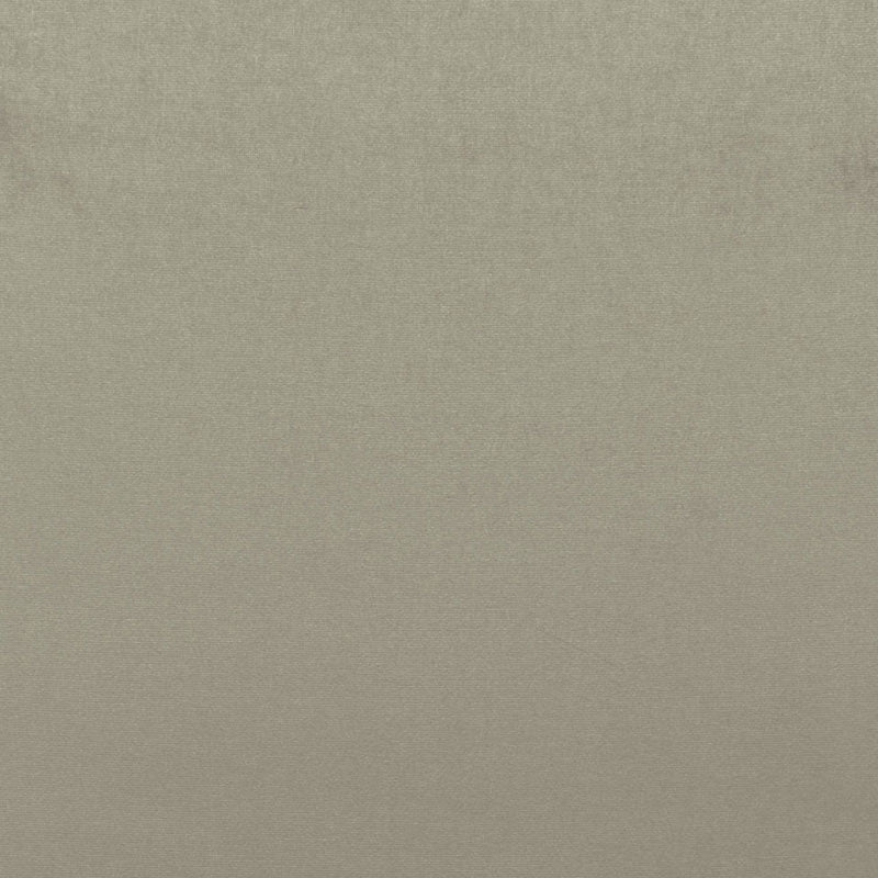 Find 68159 Sophia Velvet Pebble by Schumacher Fabric