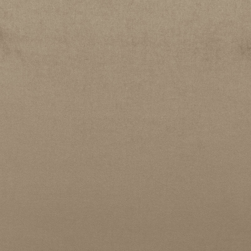 Search 68161 Sophia Velvet Mushroom by Schumacher Fabric