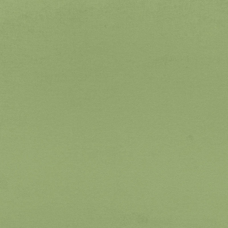Search 68193 Sophia Velvet Willow by Schumacher Fabric