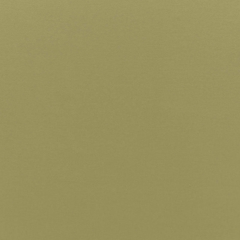 Find 68194 Sophia Velvet Olivine by Schumacher Fabric