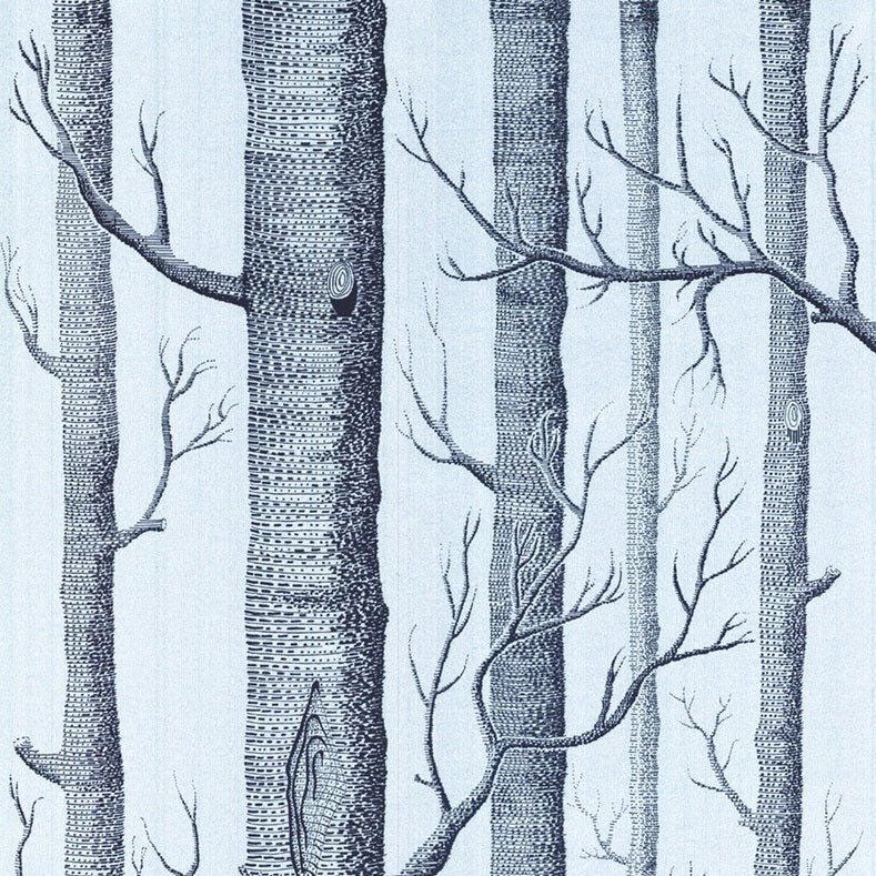 Sample 69/12150 Cole and Son