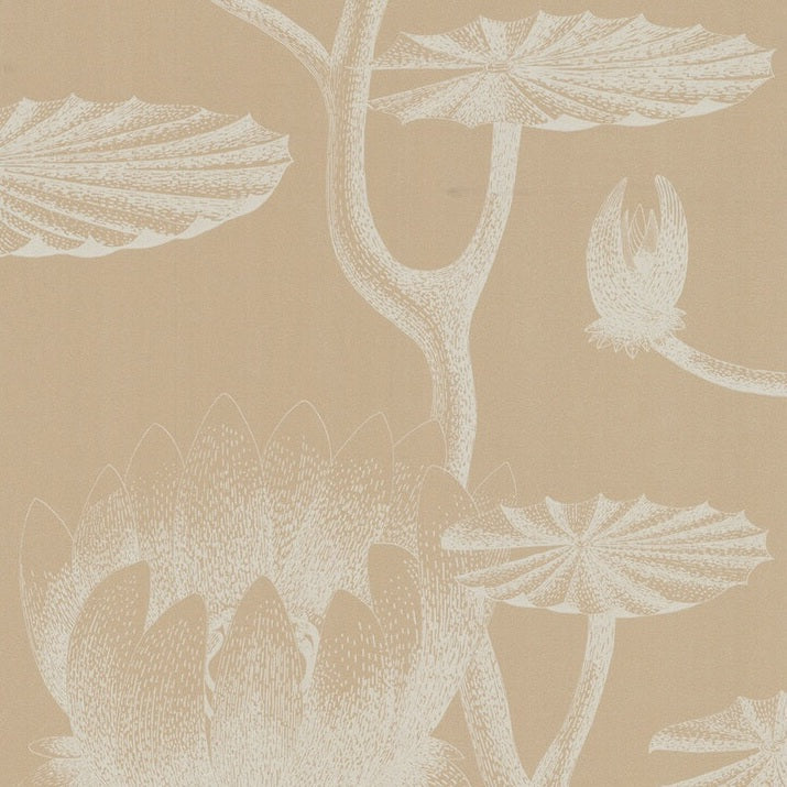 Sample 69/3113 Cole and Son
