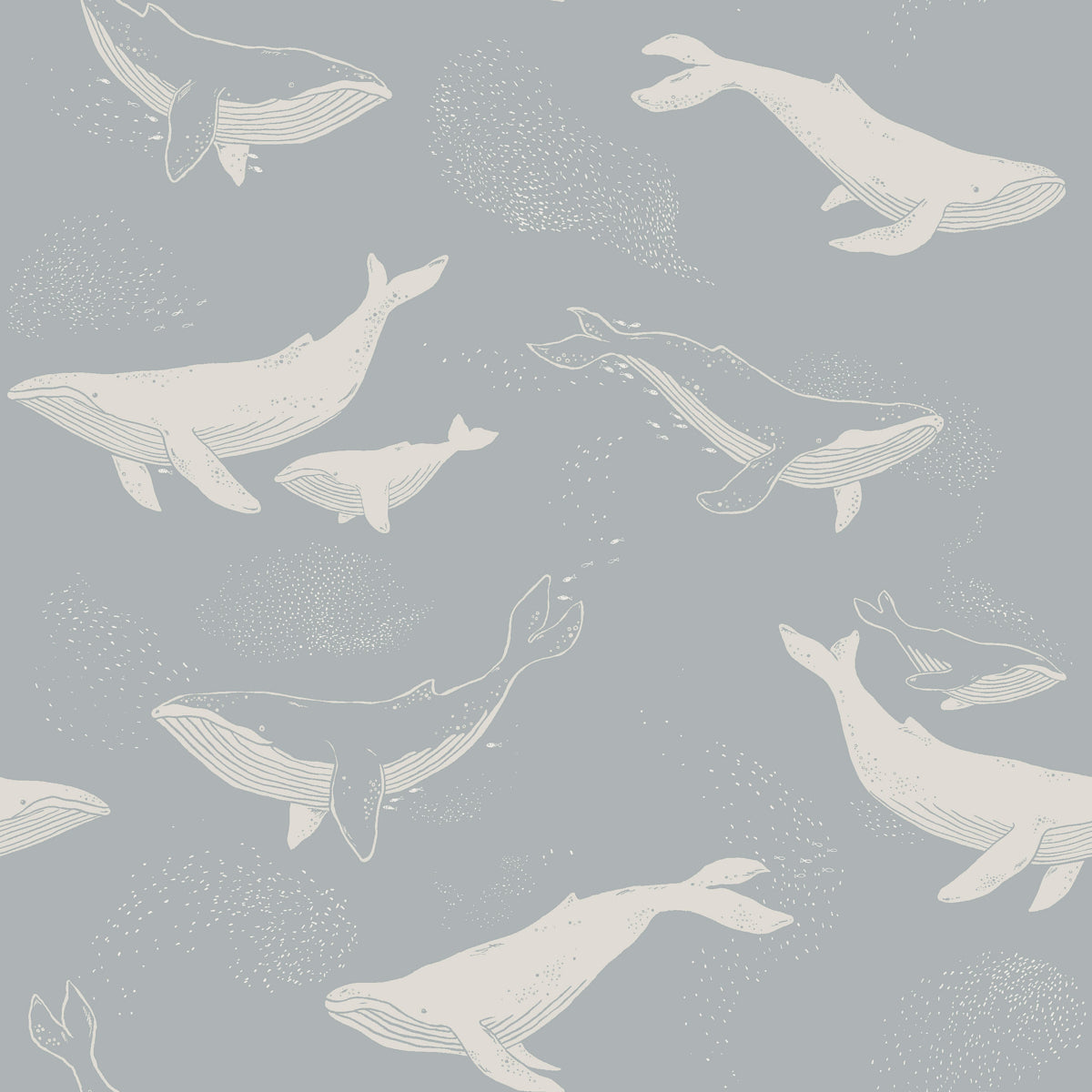 Purchase 6942 | Whales, Slate - Borastapeter Wallpaper