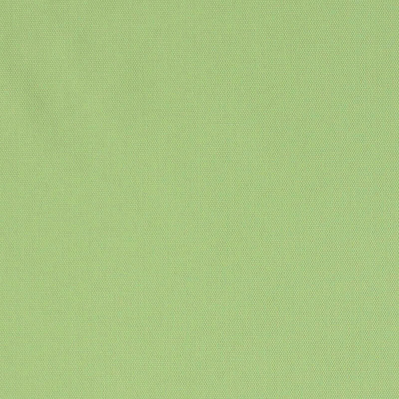Buy 69545 Elliott Lime by Schumacher Fabric
