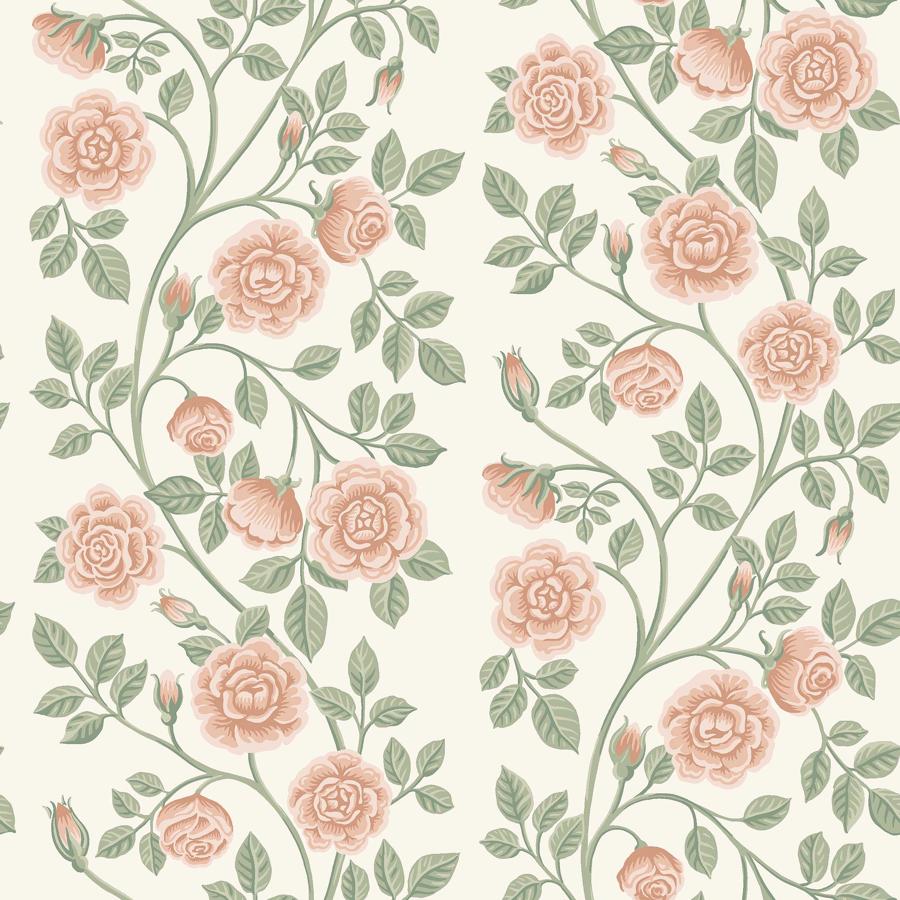 Purchase 6958 | Elsa, Rose - Borastapeter Wallpaper