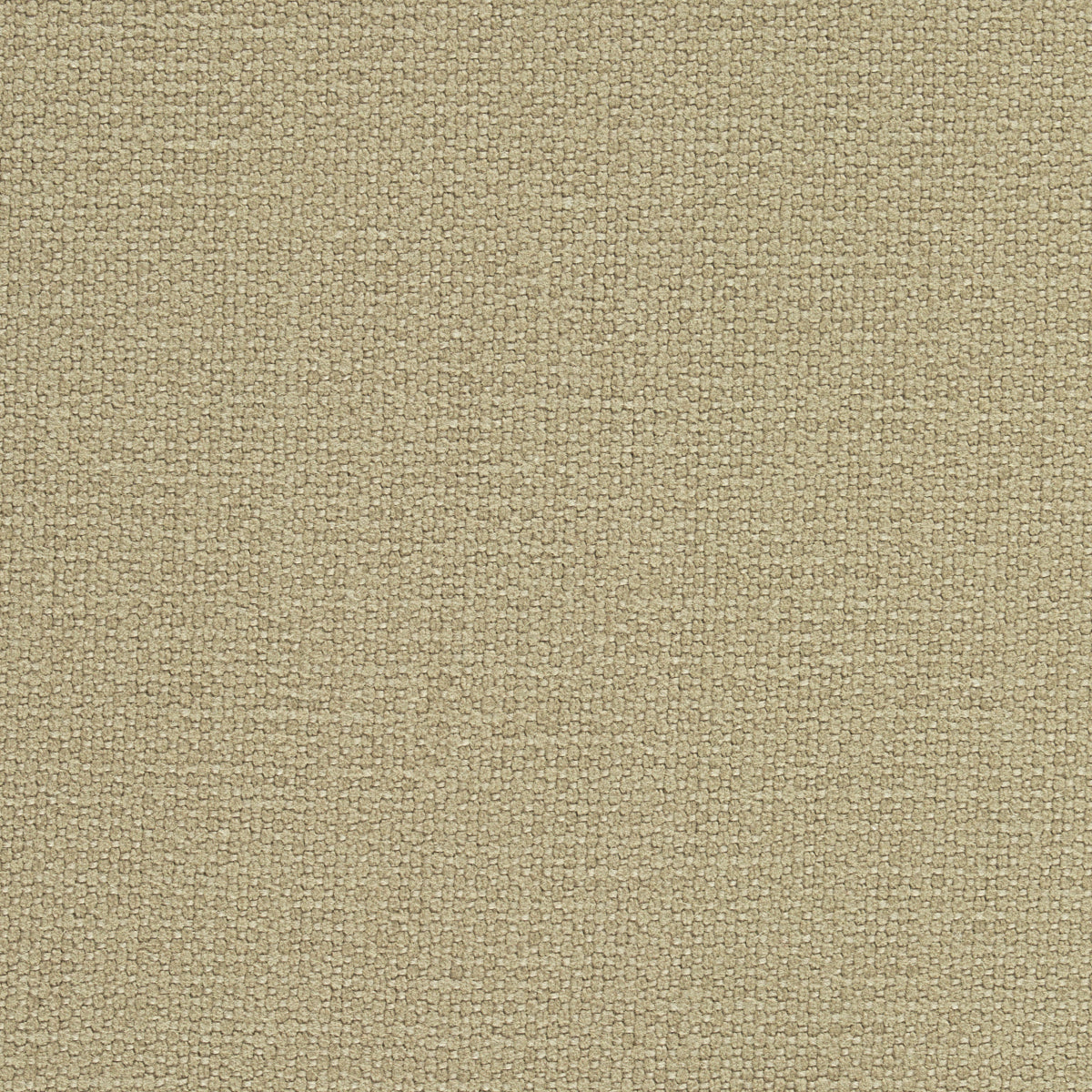 Purchase 69623 Langham Doe by Schumacher Fabric