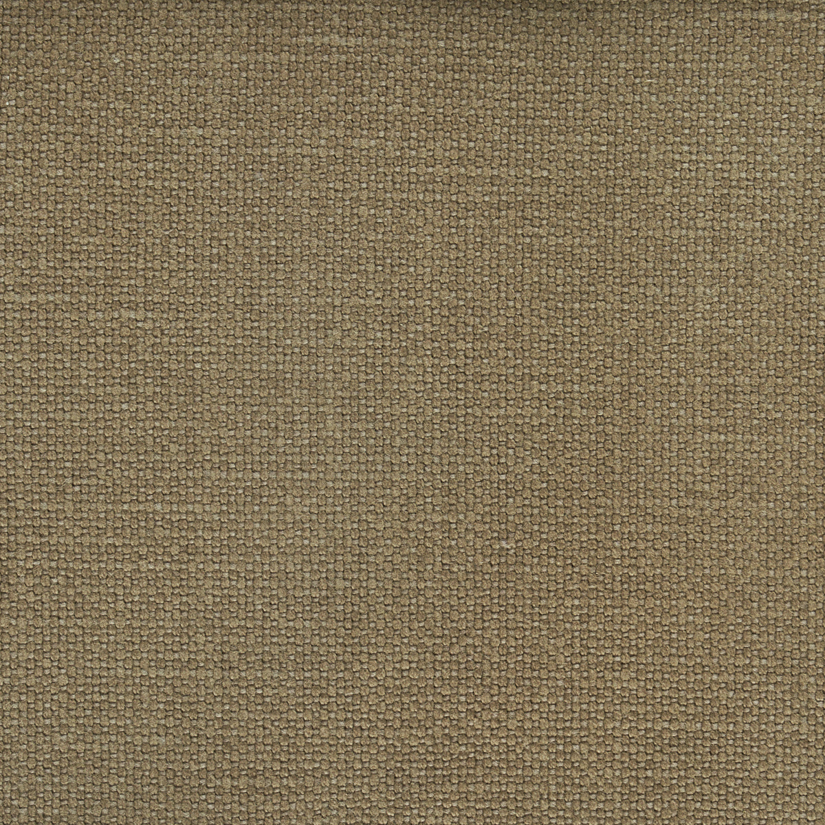 Shop 69625 Langham Mocha by Schumacher Fabric