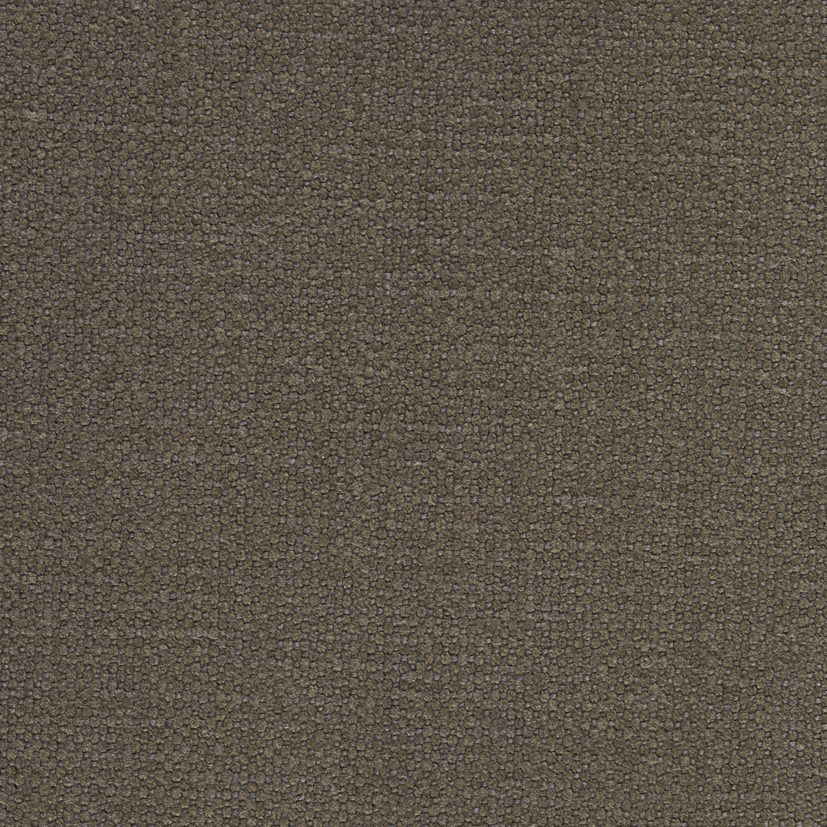 Order 69627 Langham Cocoa by Schumacher Fabric