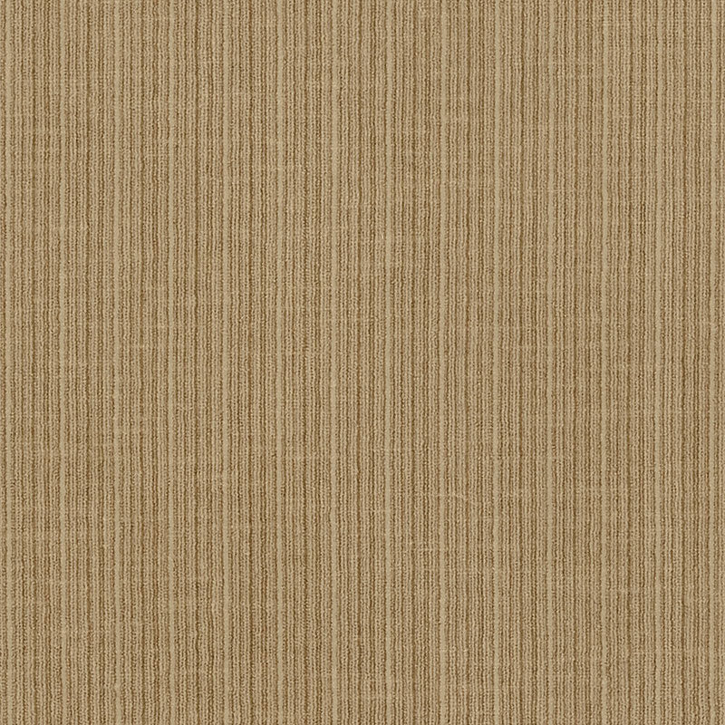 Shop 69761 Antique Strie Velvet Reed by Schumacher Fabric