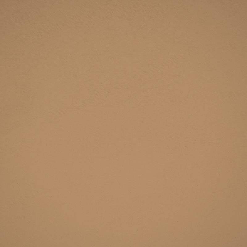 Purchase Greenhouse Fabric 70388 Cream