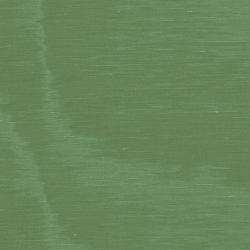 Find 70410 Incomparable Moire Vert by Schumacher Fabric