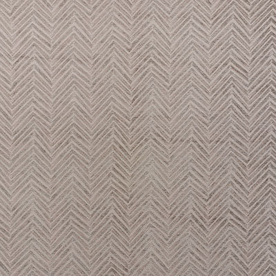 Shop 71151 Belvoir Truffle by Schumacher Fabric