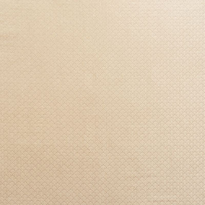 Save 71621 Ashton Champagne by Schumacher Fabric