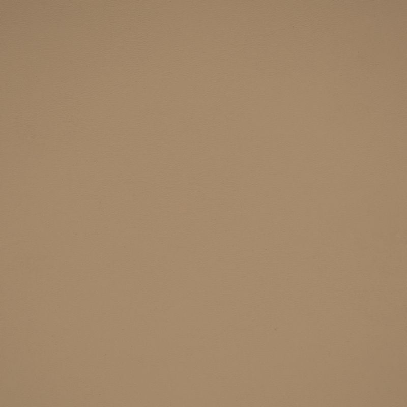 Purchase Greenhouse Fabric 72355 Light Parchment