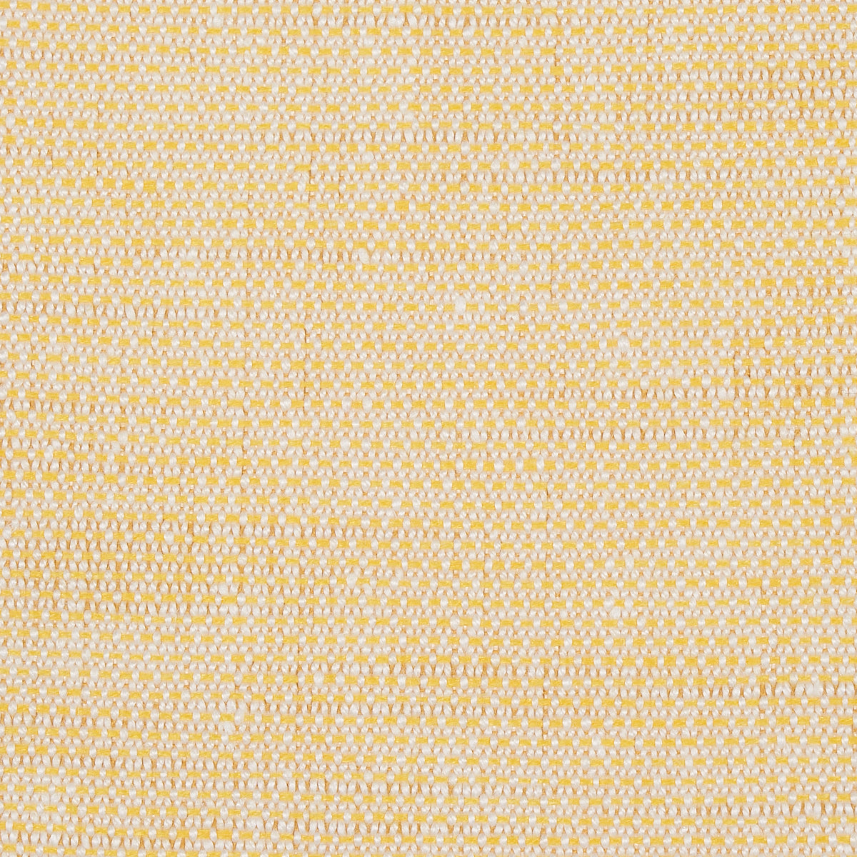 Buy 73877 Camarillo Weave Indoor/Outdoor Yellow by Schumacher Fabric