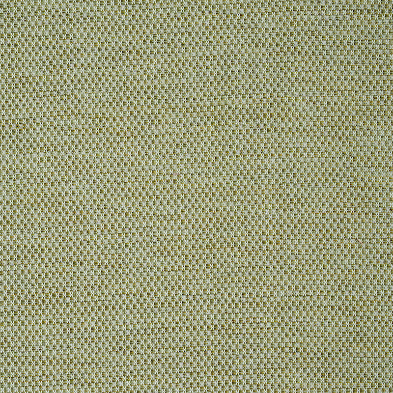 Acquire 78933 Momo Hand Woven Texture Fern by Schumacher Fabric