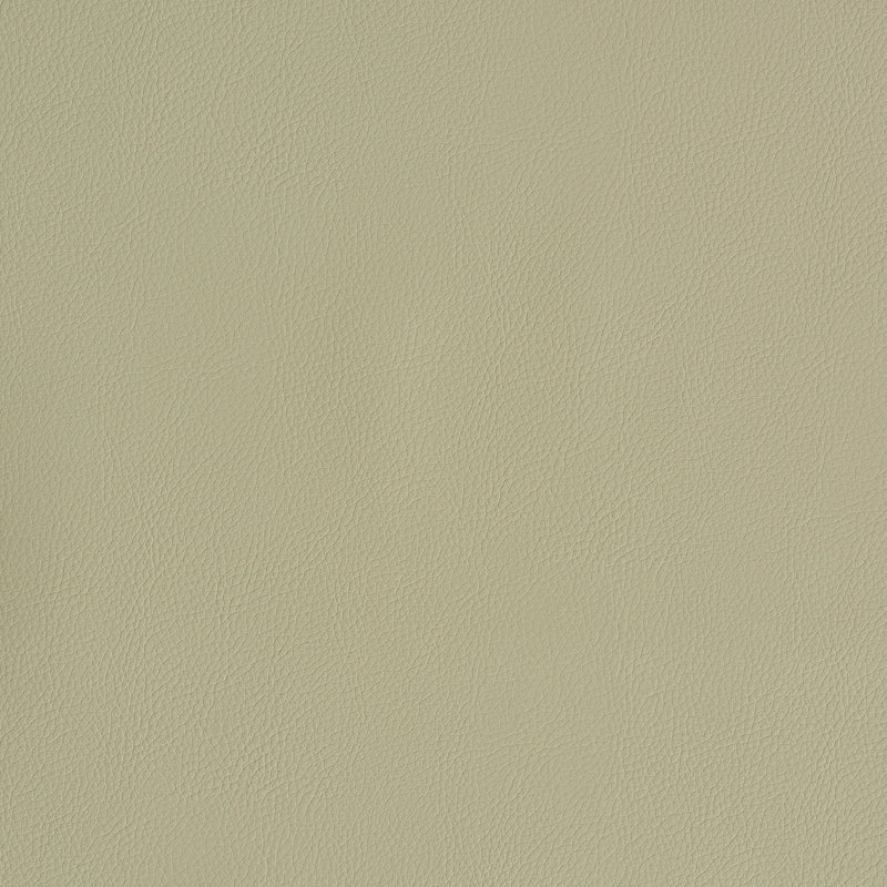 Select 79553 Indoor/Outdoor Vegan Leather Dune by Schumacher Fabric