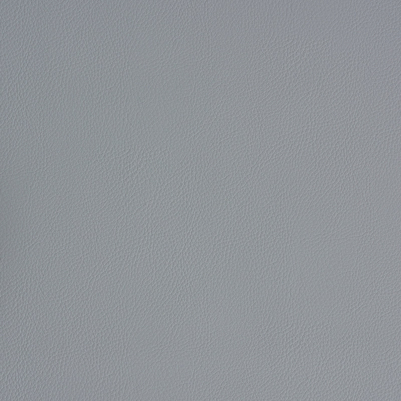 Shop 79555 Indoor/Outdoor Vegan Leather Slate by Schumacher Fabric