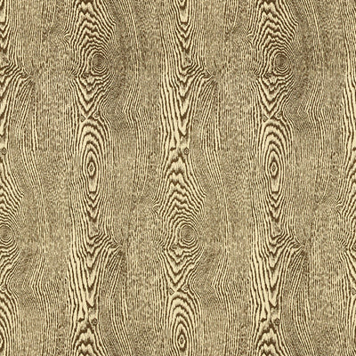 Sample 8013142-68 Wood Bark Texture Brunschwig and Fils Fabric