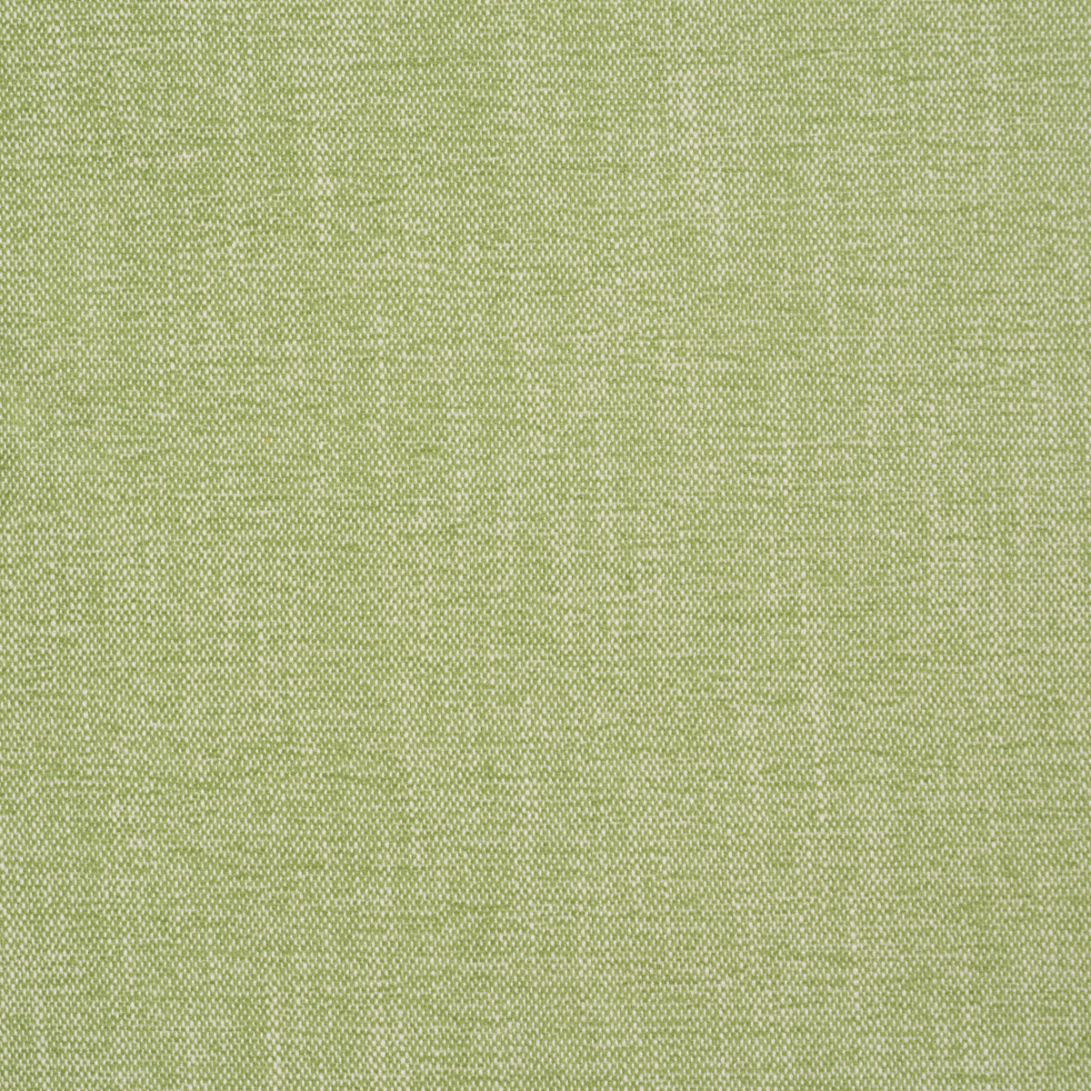 Purchase 81129 | Dean Indoor/Outdoor, Grass - Schumacher Fabric