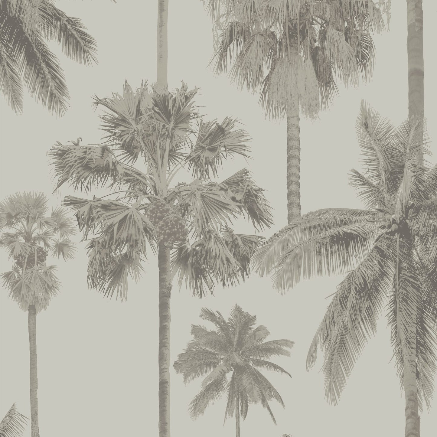 Purchase JF Wallpaper Pattern 8180 92W9091