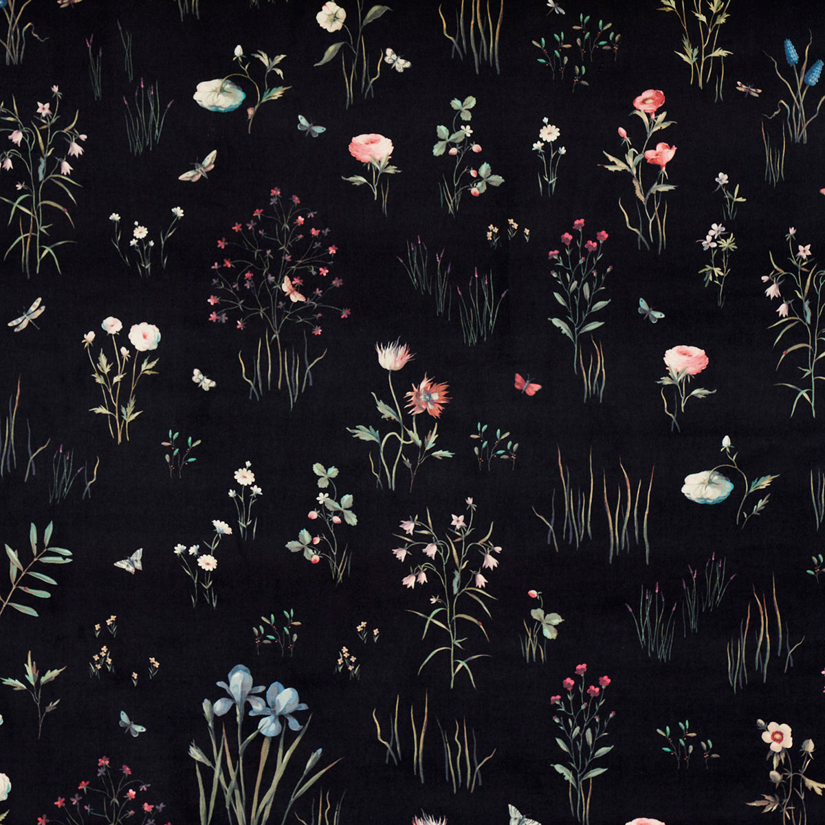 Purchase 82540 Primavera Velvet, Black by Schumacher Fabric