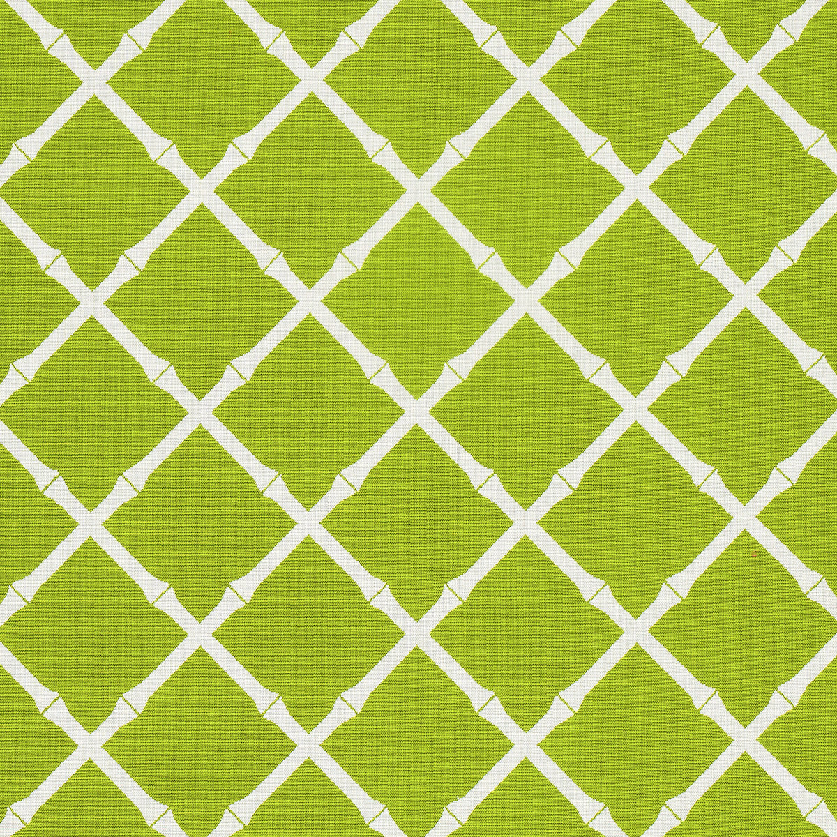Purchase 82760 Bamboo Trellis Indoor/Outdoor, Leaf by Schumacher Fabric